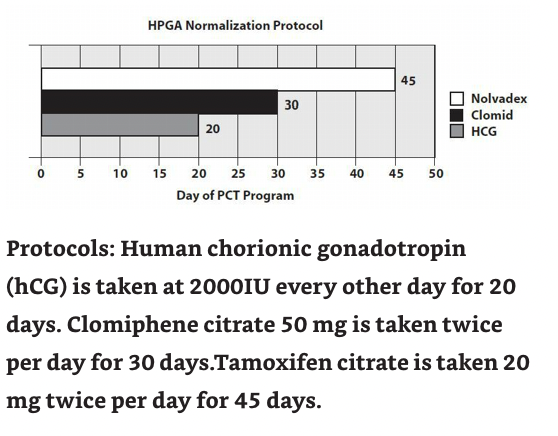 PCT cycle step by step - Dr.Michael Scally