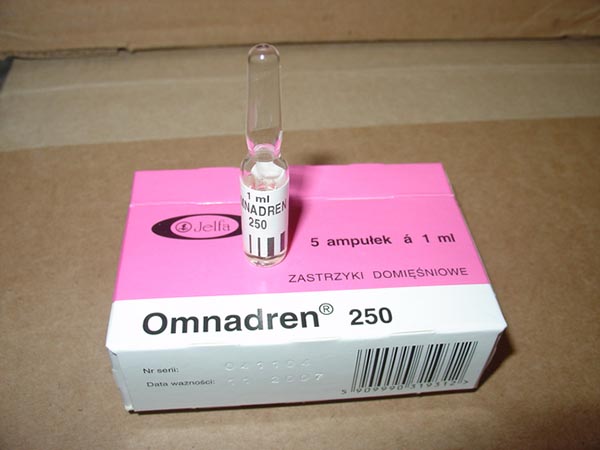 Genuine Omnadren 250 UK